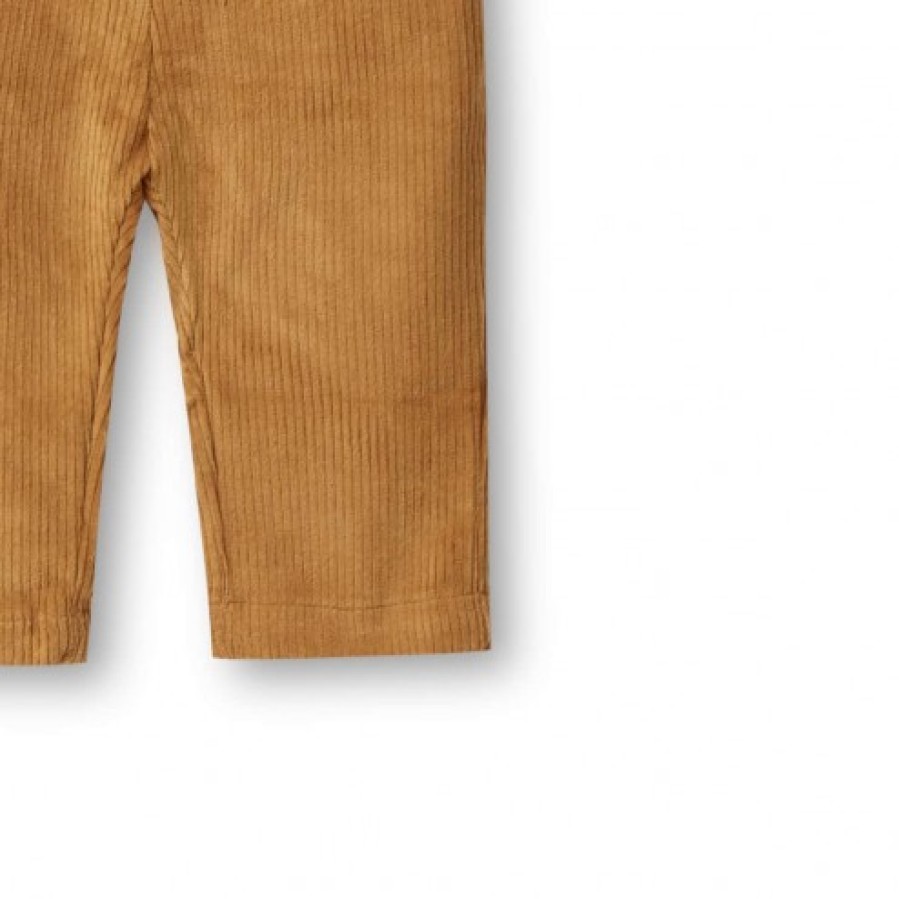 Boy FALCOTTO | Roy - Velvet Trousers - Cognac